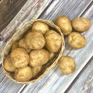 [더조은] 26년 햇감자_3kg(특/특대 개당중량 100-200g 이하)