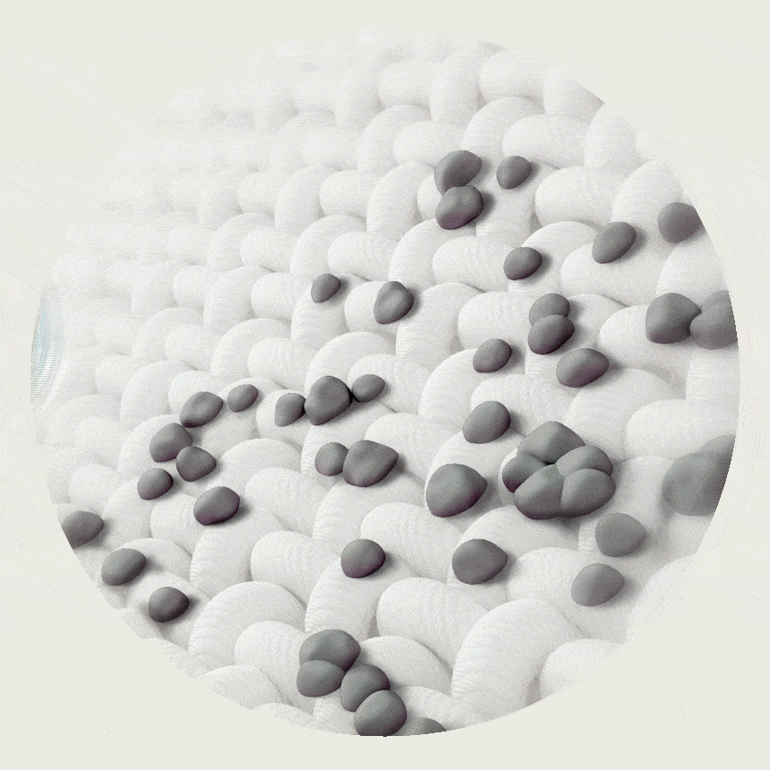 AHA-min_003747.gif