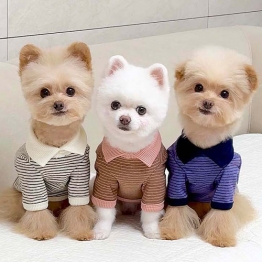 쥬비코 강아지옷 엘링 티셔츠