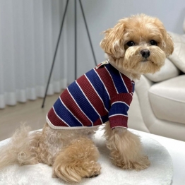 쥬비코 강아지옷 조이 티셔츠